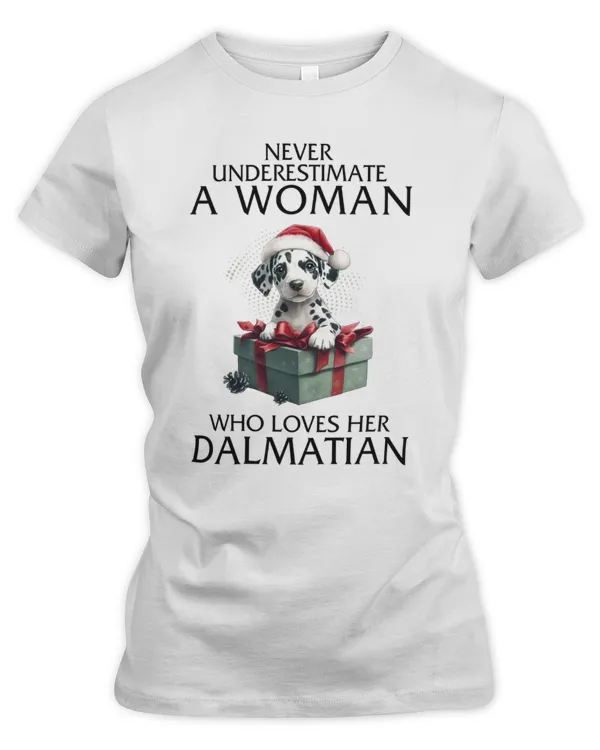 Women's Premium Slim Fit Tee