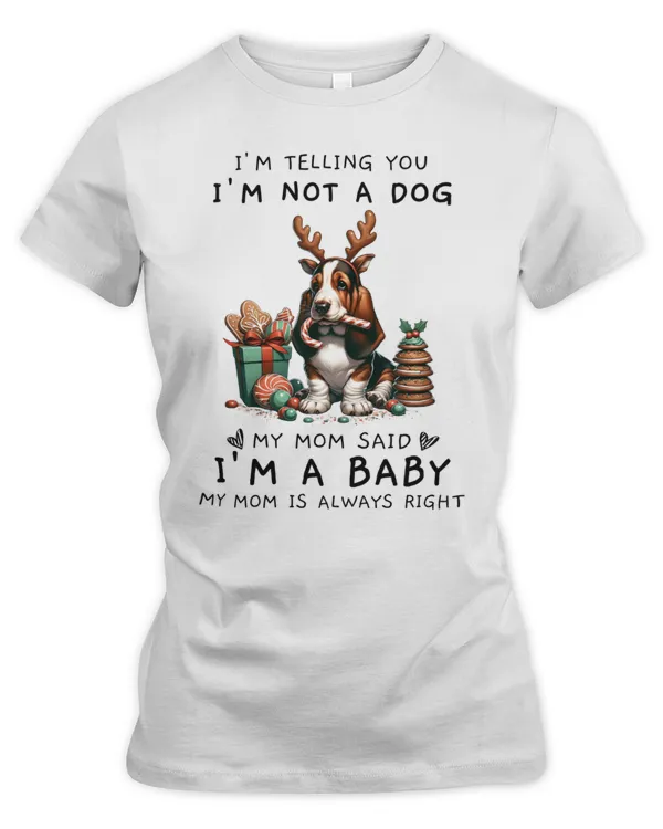 Women's Premium Slim Fit Tee