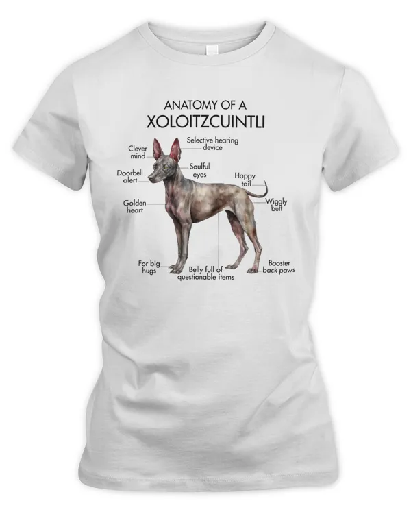 Women's Premium Slim Fit Tee