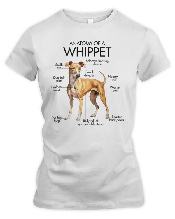 Women's Premium Slim Fit Tee