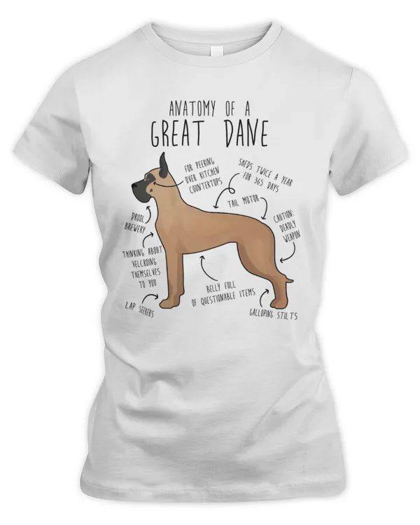 Women's Premium Slim Fit Tee