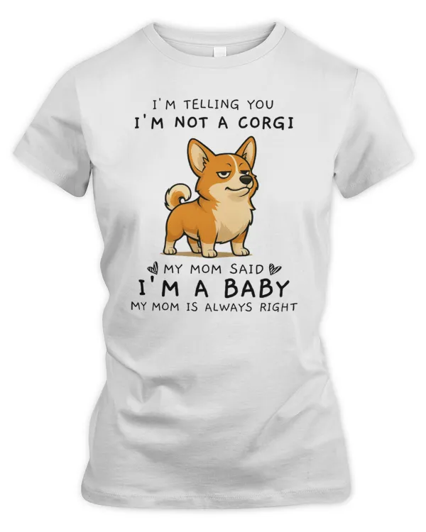 Women's Premium Slim Fit Tee
