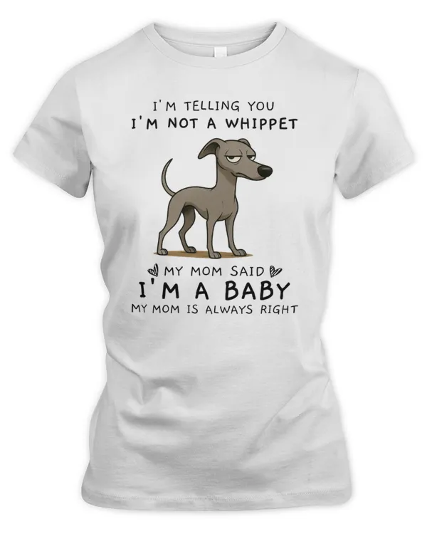 Women's Premium Slim Fit Tee