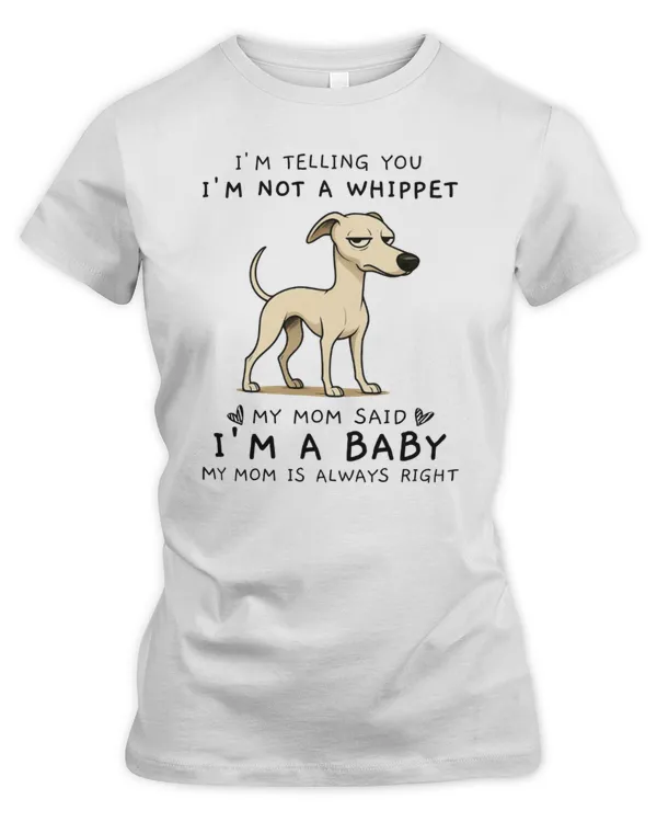 Women's Premium Slim Fit Tee