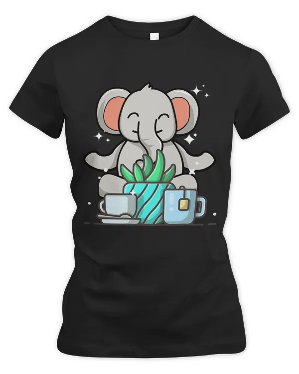 Women's Premium Slim Fit Tee