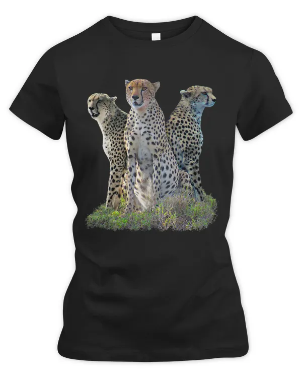 Women's Premium Slim Fit Tee