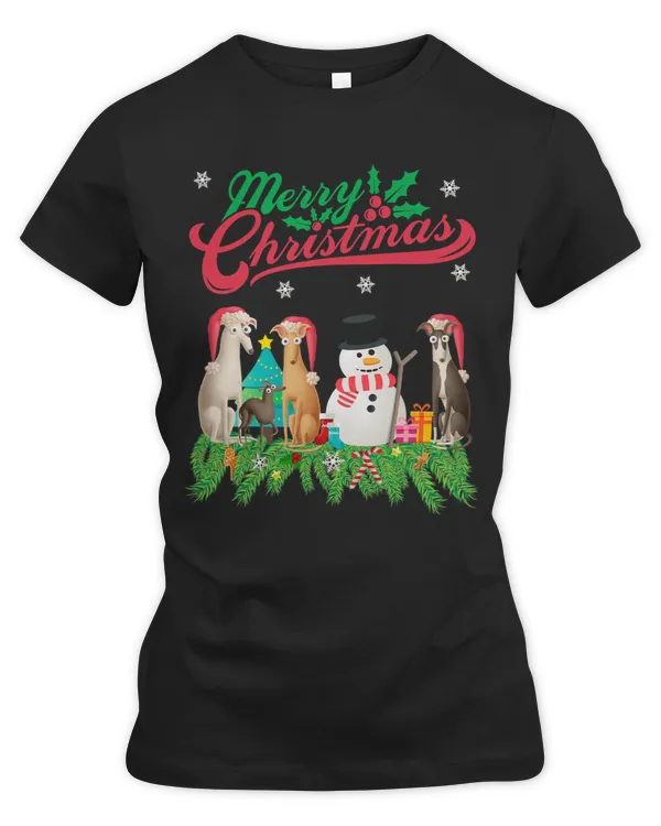 Women's Premium Slim Fit Tee