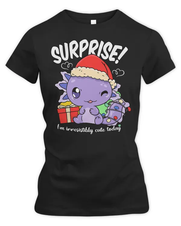 Women's Premium Slim Fit Tee