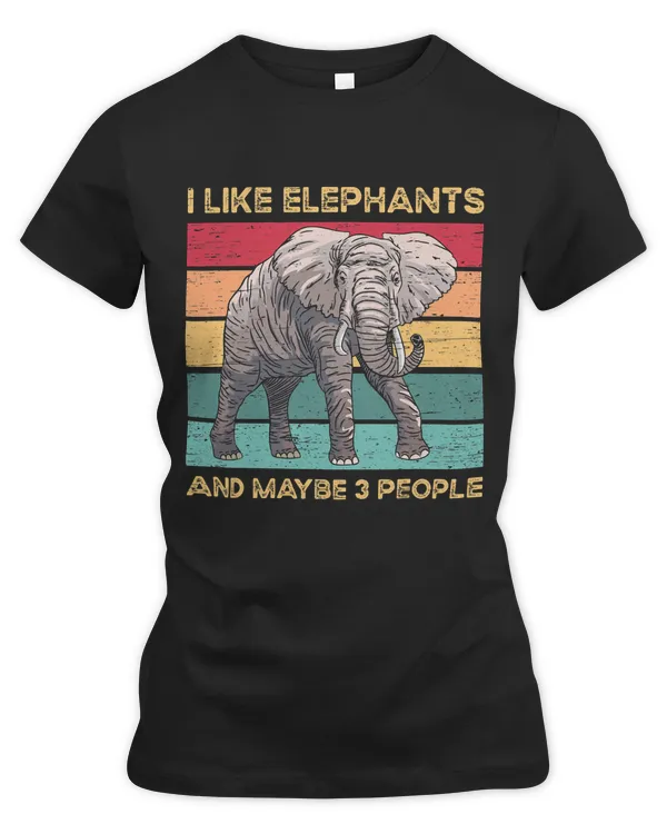 Women's Premium Slim Fit Tee