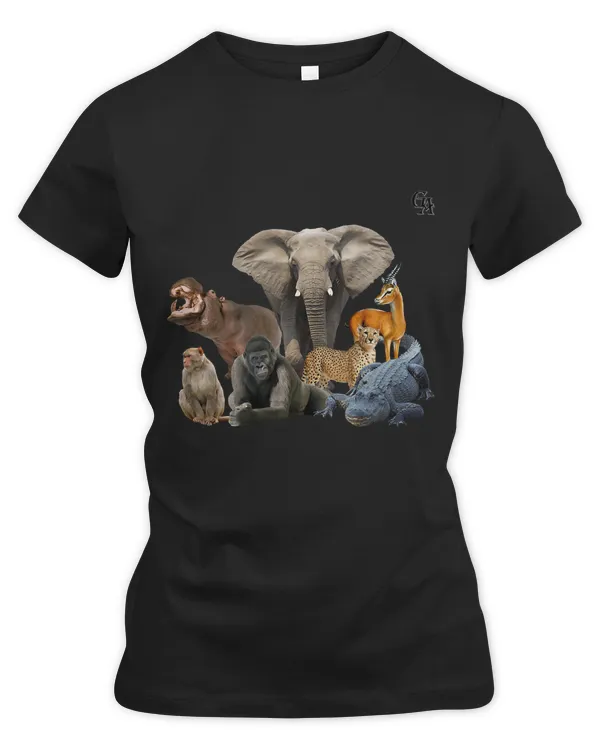 Women's Premium Slim Fit Tee