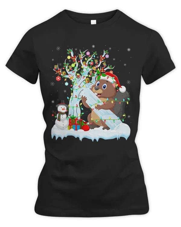 Women's Premium Slim Fit Tee
