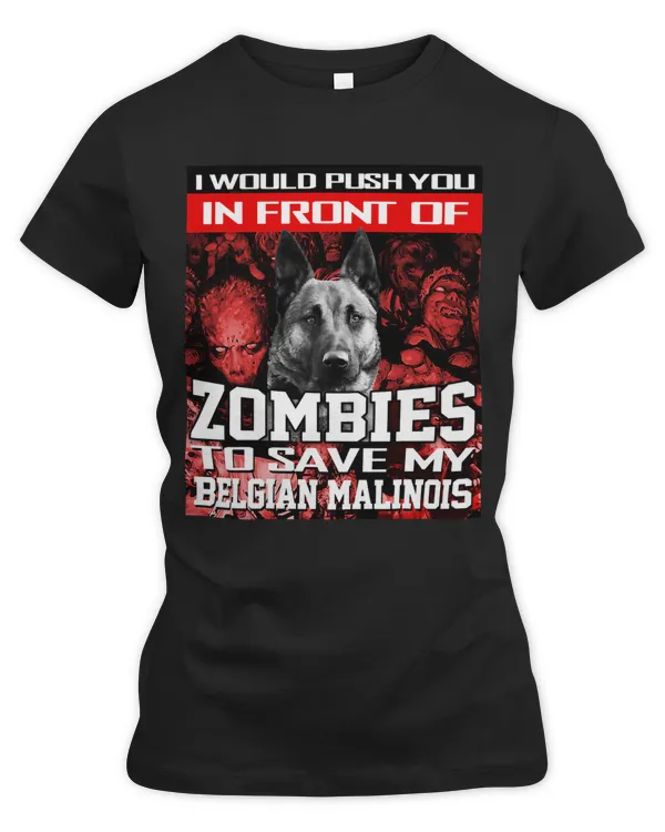 Women&#39;s Premium Slim Fit Tee