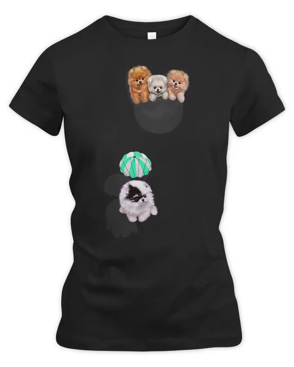 Women's Premium Slim Fit Tee