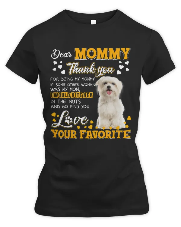 Women's Premium Slim Fit Tee