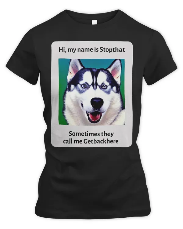 Women's Premium Slim Fit Tee