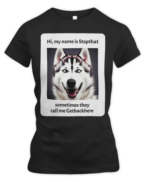 Women's Premium Slim Fit Tee