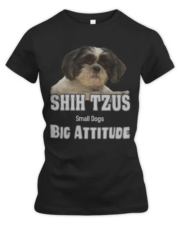 Women's Premium Slim Fit Tee
