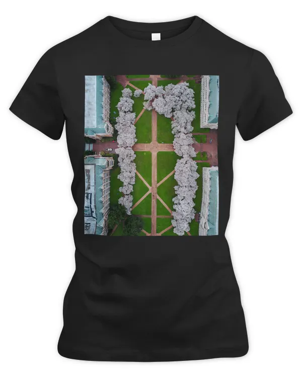Women's Premium Slim Fit Tee