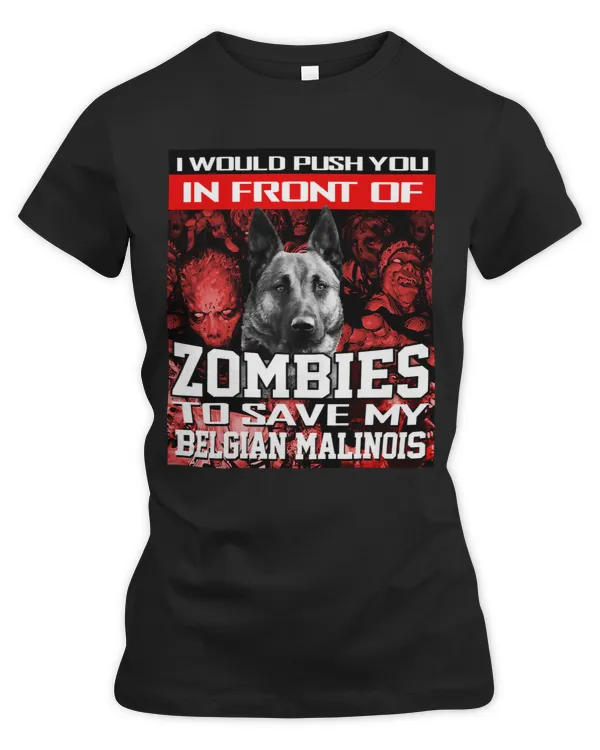 Women&#39;s Premium Slim Fit Tee