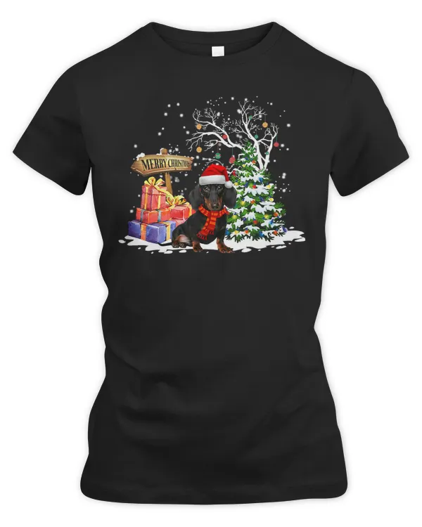 Women's Premium Slim Fit Tee