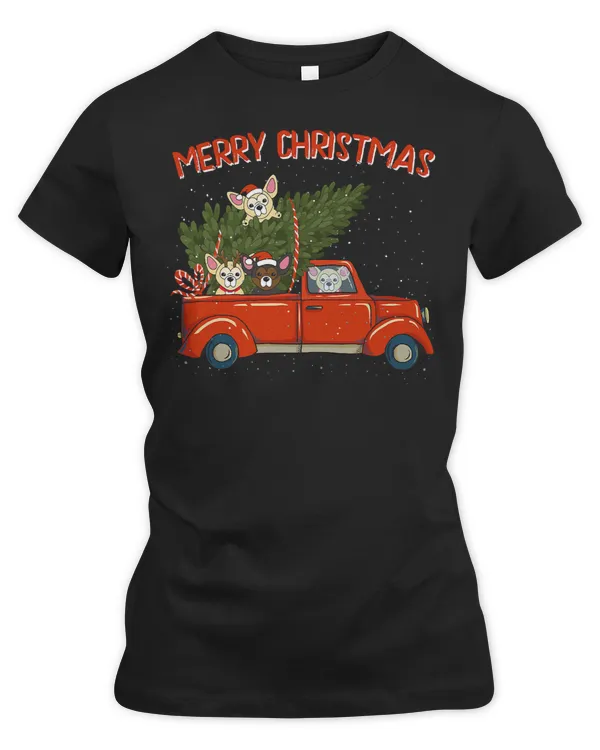 Women's Premium Slim Fit Tee