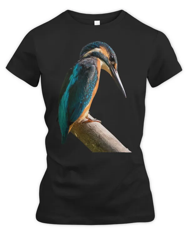 Women's Premium Slim Fit Tee