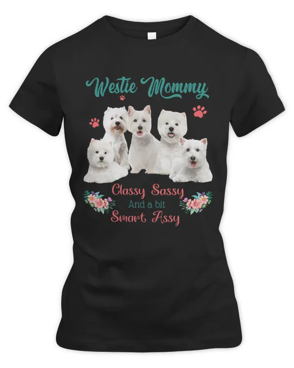 Women's Premium Slim Fit Tee