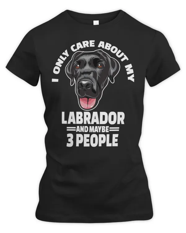 Labrador Retriever Lover Black Labrador Retriever StickersI Only Care About My Labrador Retrievers Dog