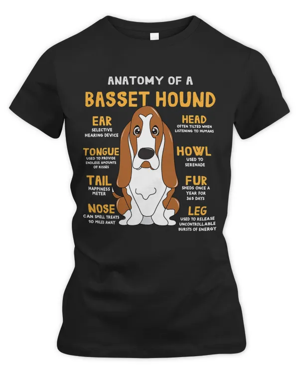 Women's Premium Slim Fit Tee