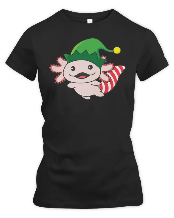 Women's Premium Slim Fit Tee