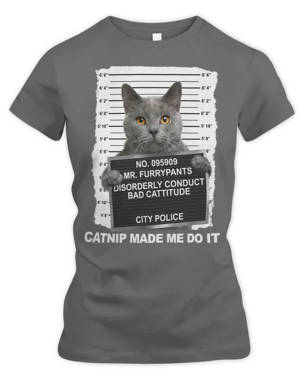 Women's Premium Slim Fit Tee