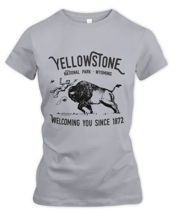 Women's Premium Slim Fit Tee