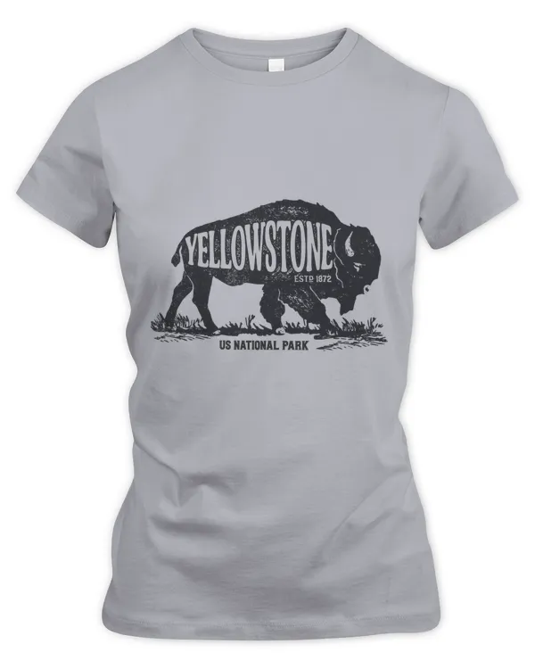 Women's Premium Slim Fit Tee