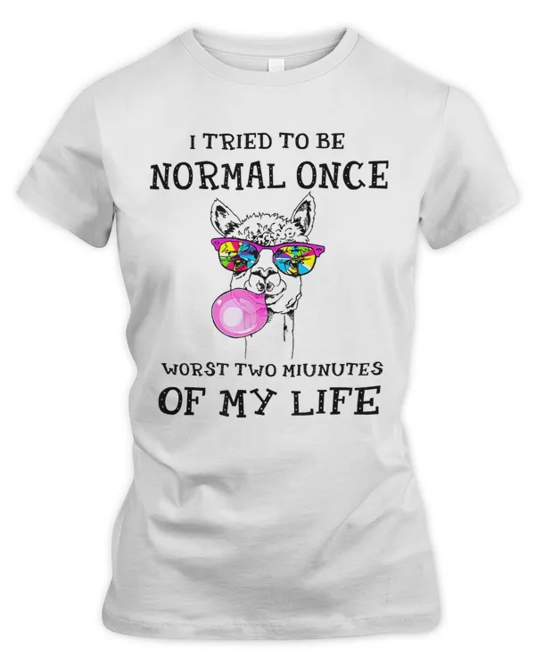 Women's Premium Slim Fit Tee