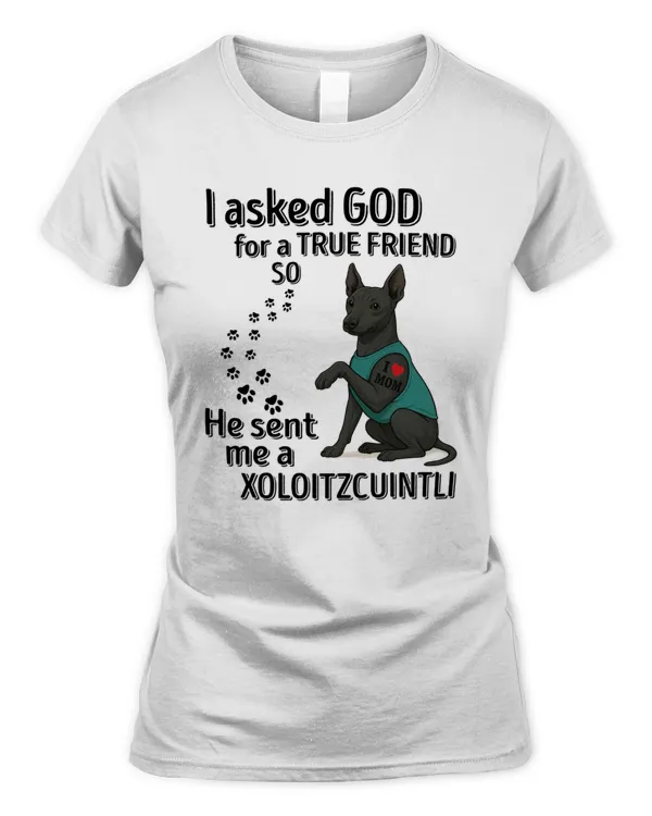 Women's Standard T-Shirt