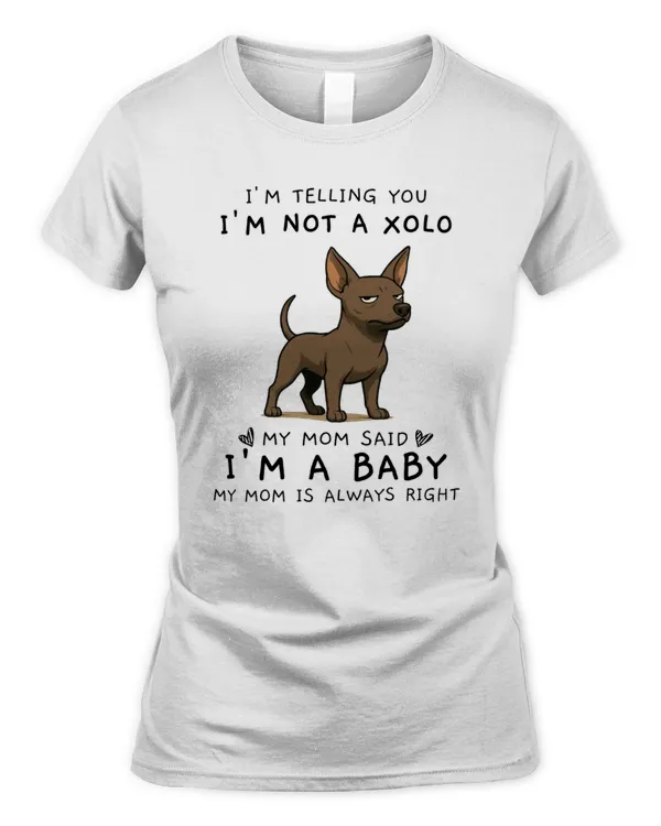 Women's Standard T-Shirt