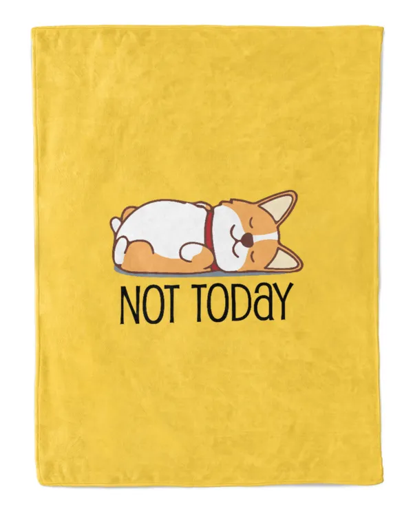 Cozy Plush Fleece Blanket