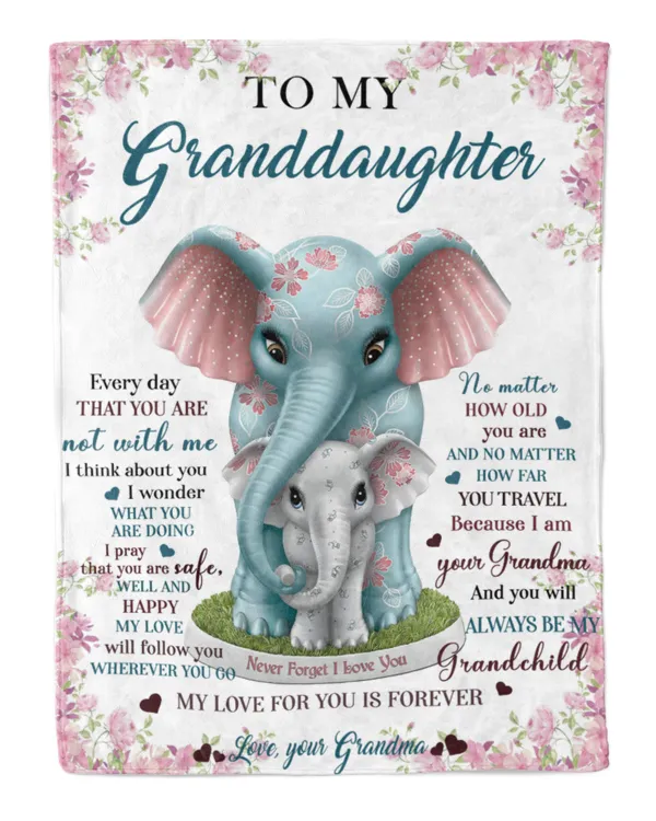 To My Granddaughter
