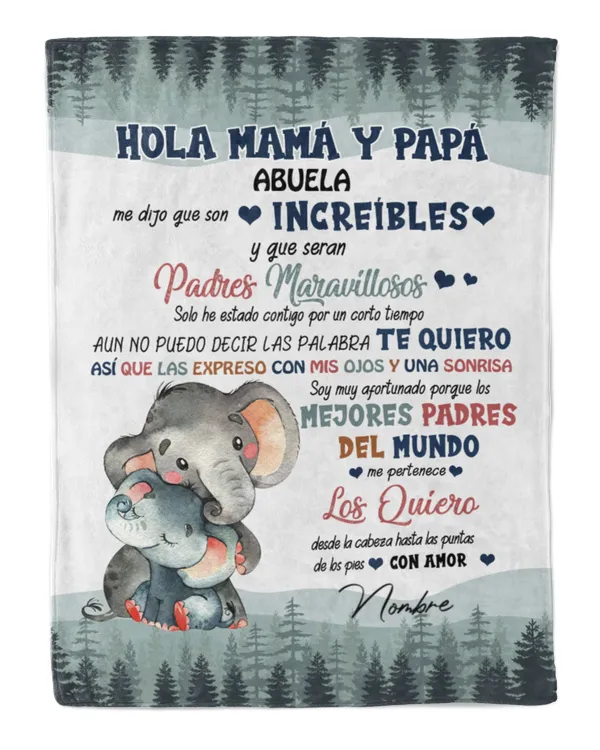 Cozy Plush Fleece Blanket