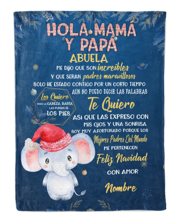 Cozy Plush Fleece Blanket