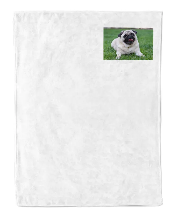 Cozy Plush Fleece Blanket