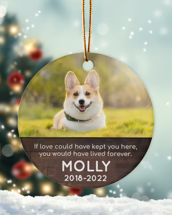 Personalized Custom Photo Dog Pet Memorial Sympathy Christmas Name Ceramic Ornament ORN14