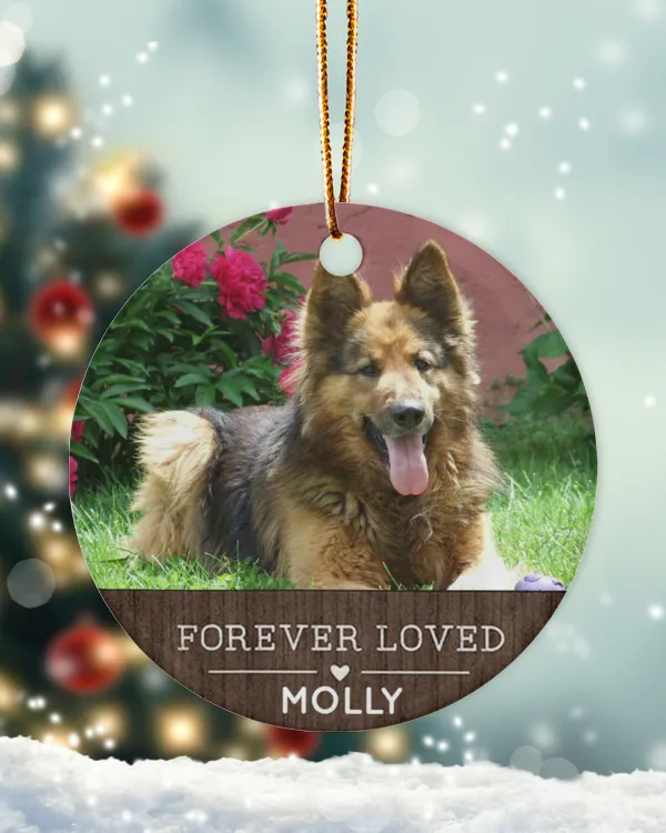 Personalized Custom Photo Dog Pet Name Memorial Christmas Ceramic Ornament ORN15