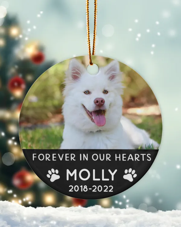 Personalized Custom Picture Dog Pet Name Memorial Christmas Ceramic Ornament ORN16