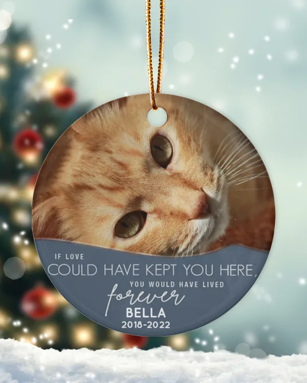 Personalized Custom Cat Pet Memorial Christmas Loss Ceramic Ornament