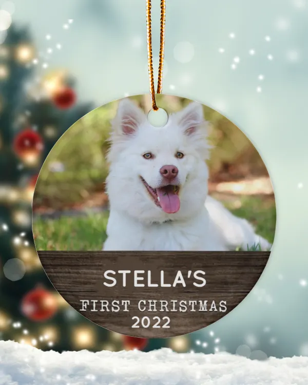 Personalized Custom Dog Puppies First Christmas Ceramic Ornament