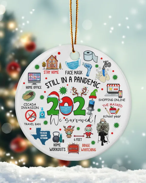 RD 2021 Still In A Pandemic Ornament, Commemorative Year, Merry Christmas,2021 Christmas Ornament1
