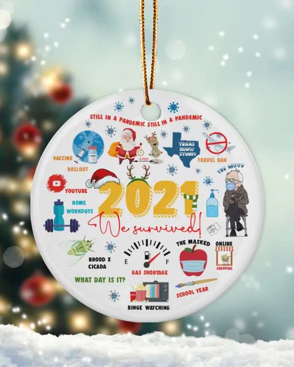 DC 2021 Still In A Pandemic Ornament, 2021 Christmas Ornament, Funny Pandemic Ornament