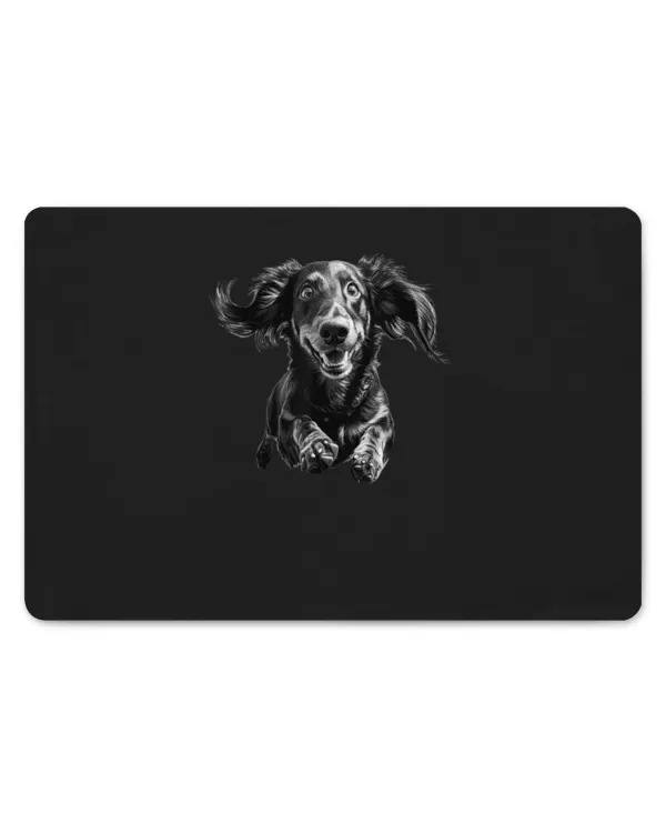 Door Mat