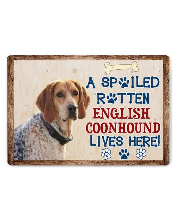 A Spoiled Rotten English Coonhound Lives Here